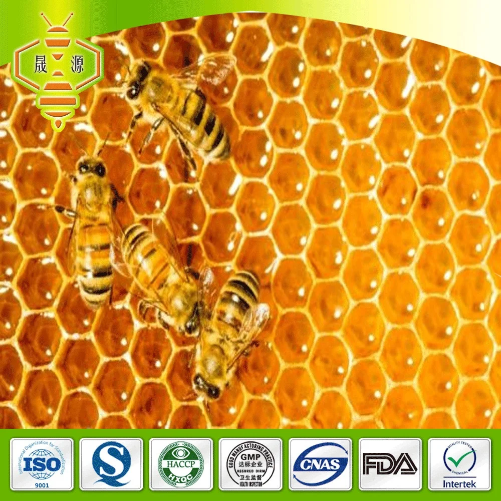 GMP Factory Honey products Natural Organic Acacia Comb Honey