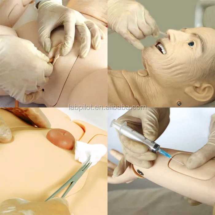 NEW Elderly Patient Caregiver Mannequin Nursing, CPR, BP Training Manikin