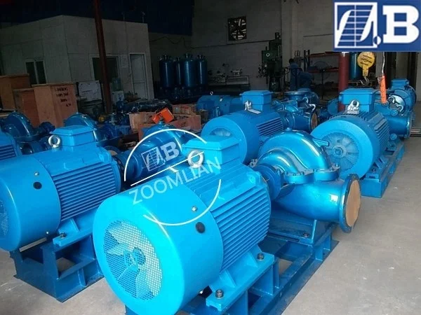 SAP power plant circulating water pump