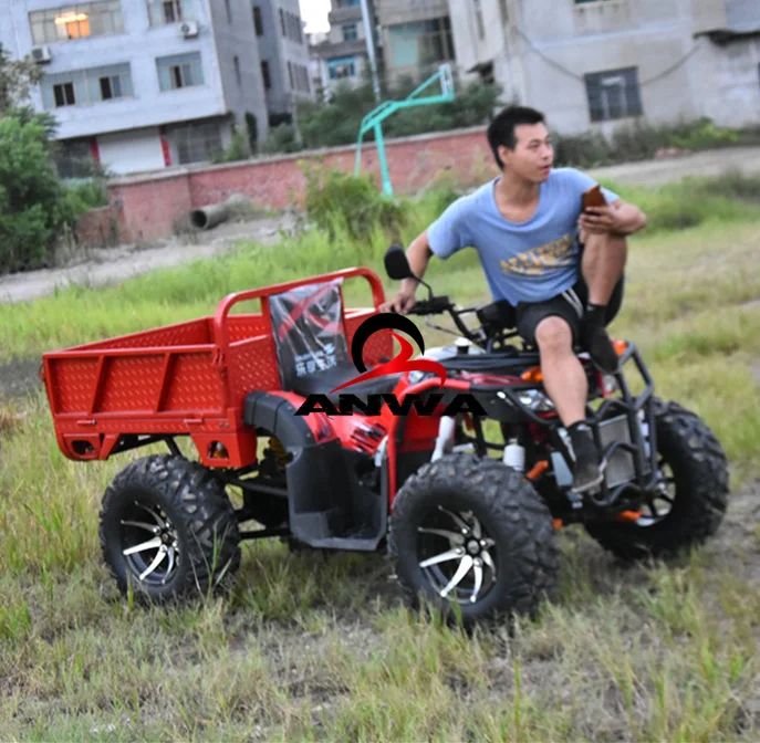 Взрослые допущенный к 250cc 4 квадроциклов ATV quad велосипед, способный преодолевать Броды для продажи