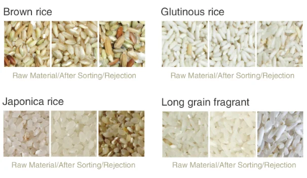 Intelligent CCD Mini Rice Color Sorter Machine With Cheap Price