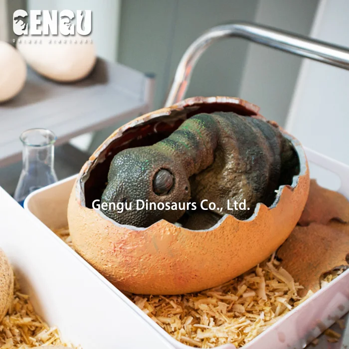 Fiberglass dinosaur decorations museum dinosaur egg