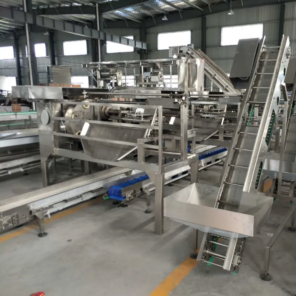 Papaya juice beverage processing machine