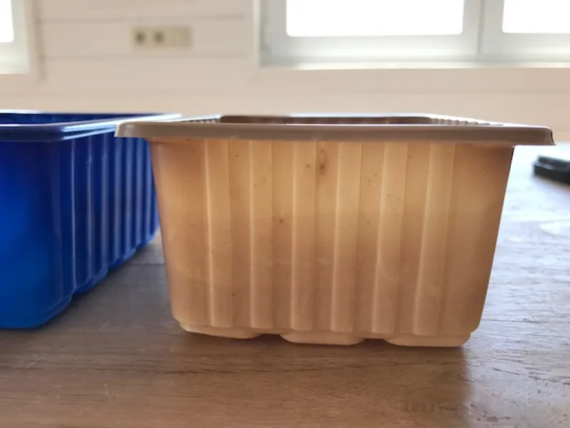 
Colored material plastic mushroom packaging tray punnet 