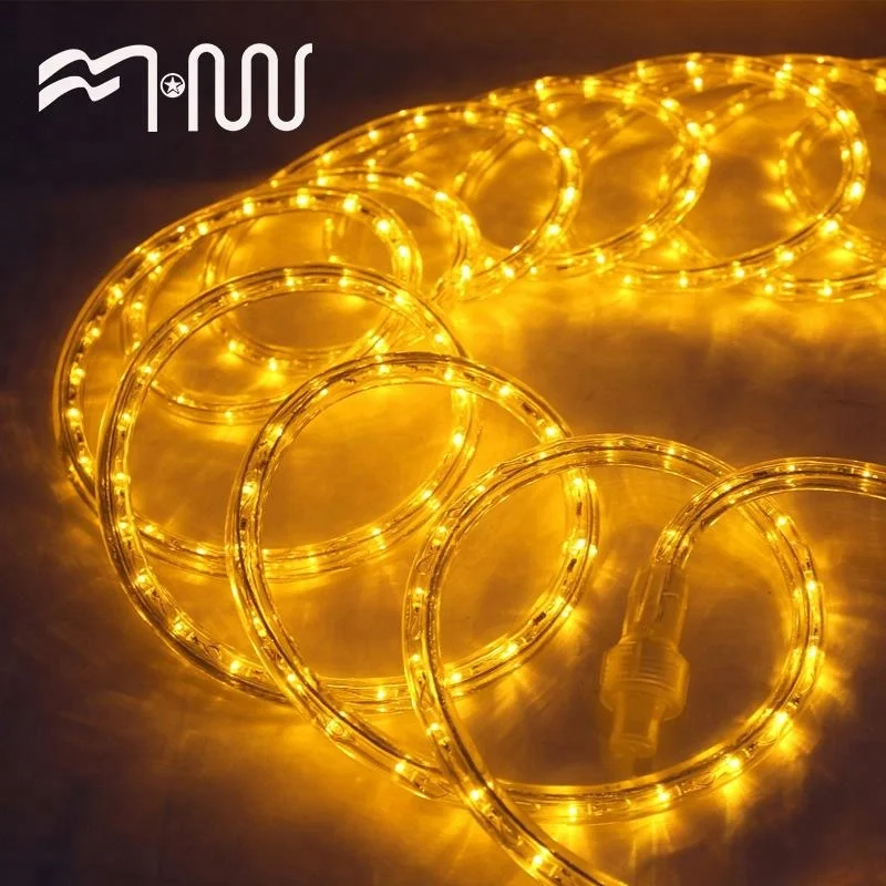 Fashion design plastic lamp led strip for sale rope light