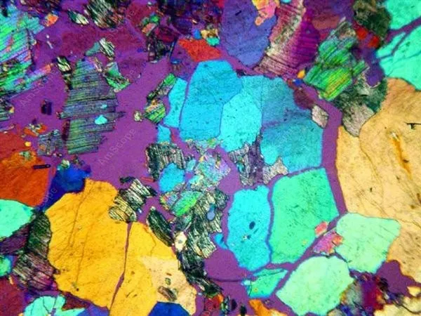 
AmScope Supplies Infinity Polarizing Trinocular Microscope 40X-600X 