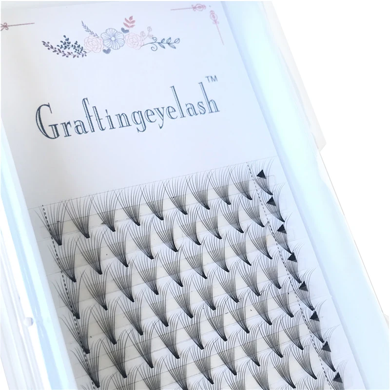 
Premade Eyelash Extension private label 3d 5d 6d 10d silk volume lashes fans 