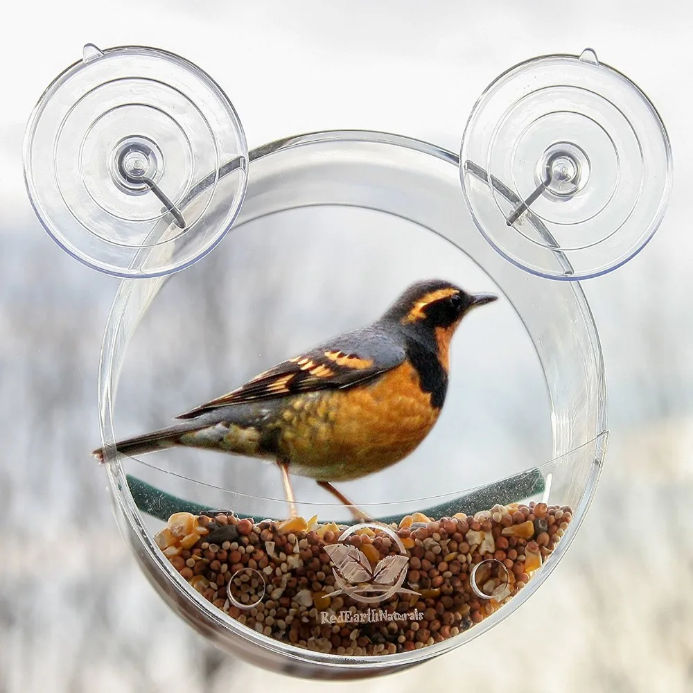 Fashion Acrylic Watch Wild Birds Up Close Round Window Bird Feeder for Bird Lovers & Fun Summer Activity for Kids As Great Gift