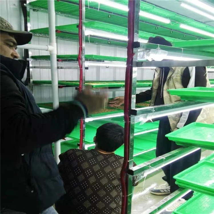 Factory Manufacture Shipping Container Hydroponic Farm | Hydroponic Grass Fodder Container