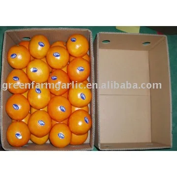 navel orange price
