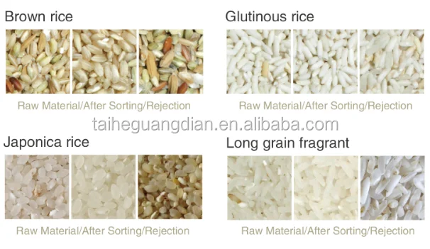 Large capacity rice color sorter machine with 441 channels