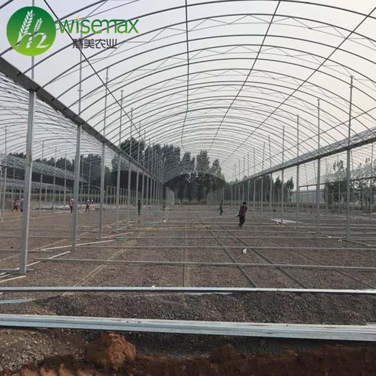 Multi span plastic film agricultural greenhouses/vegetable greenhouses