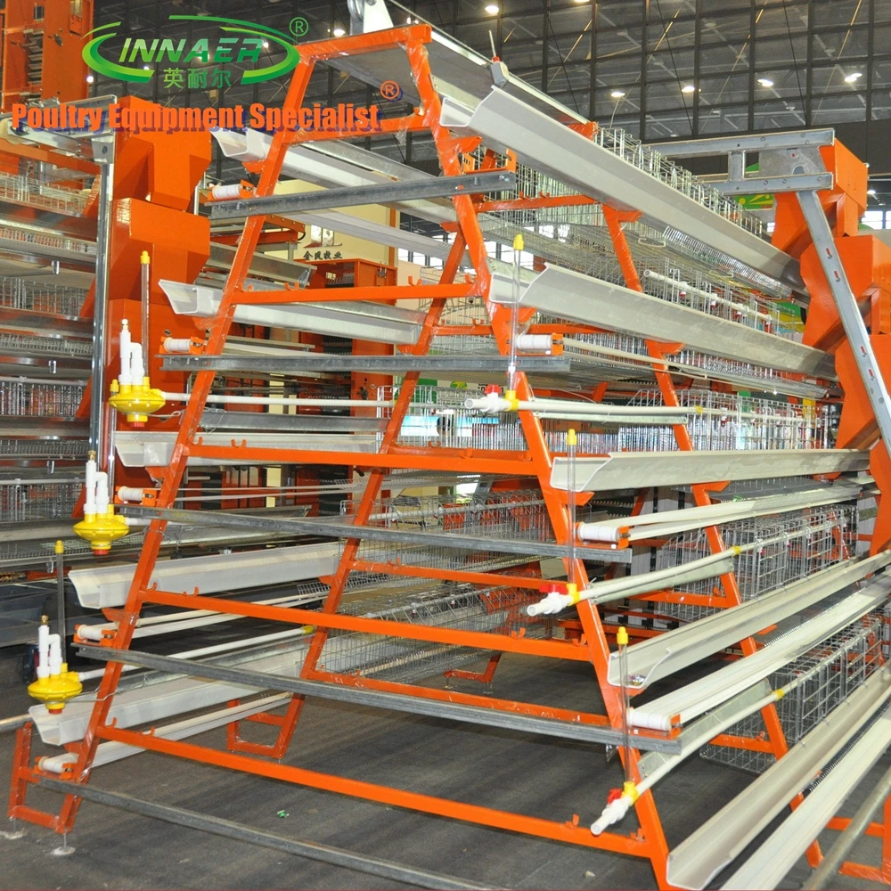 Automatic chicken cage for chicken farm