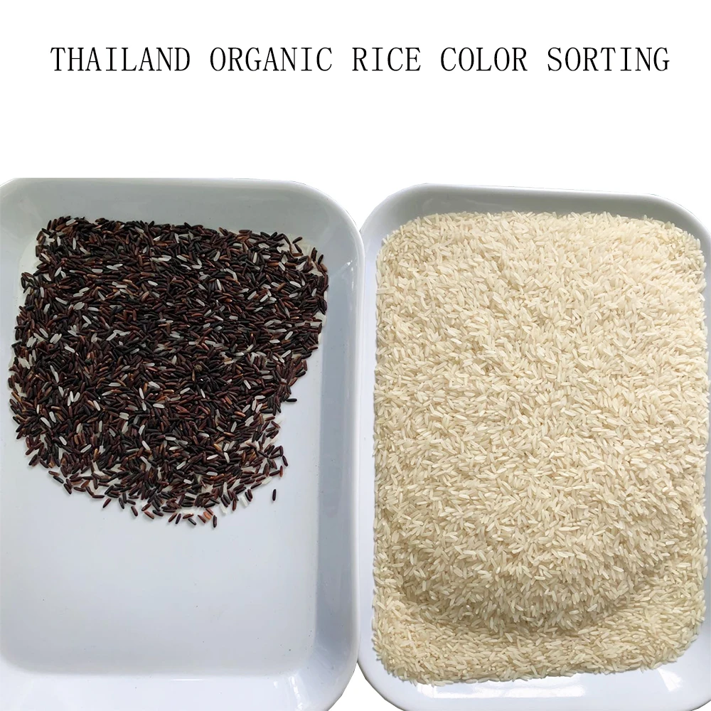 Thailand Rice Seed Grading Machine Paddy Rice Cleaning Machine Organic Rice Grain Grader