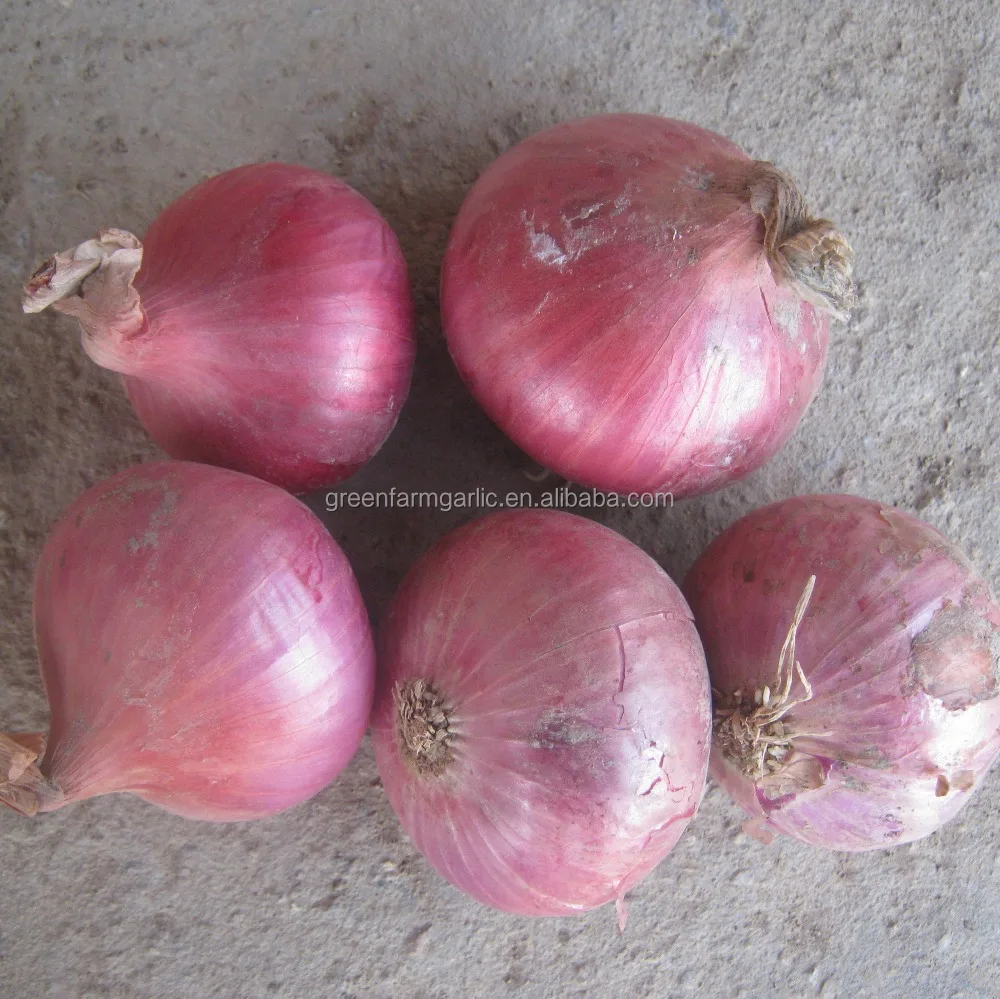 Large quantity of fresh red Onions for sale ,  seeking global onion buyers