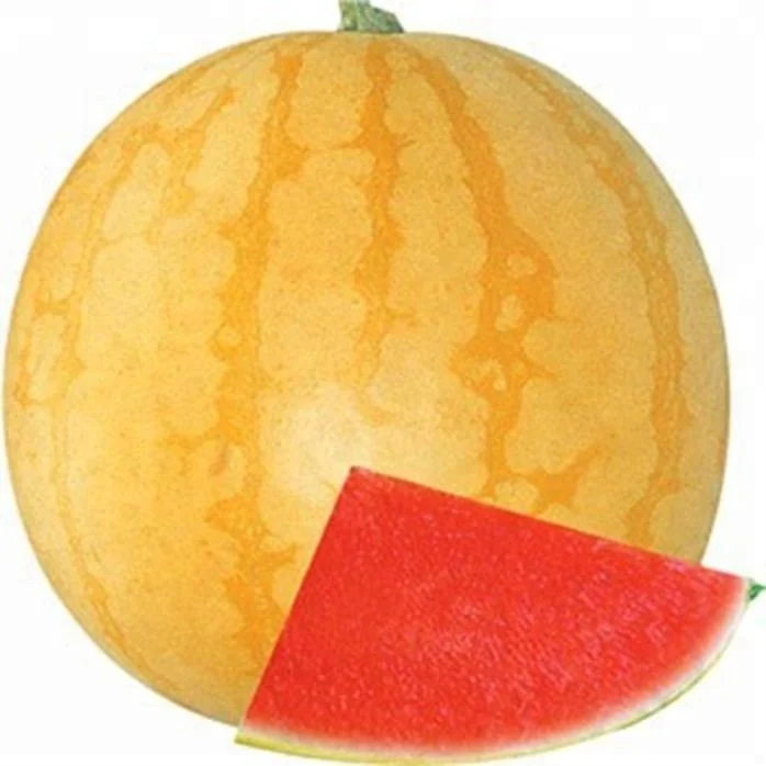 
Yellow Peel red flesh seedless hybrid Watermelon Seeds for growing-Golden Seedless 