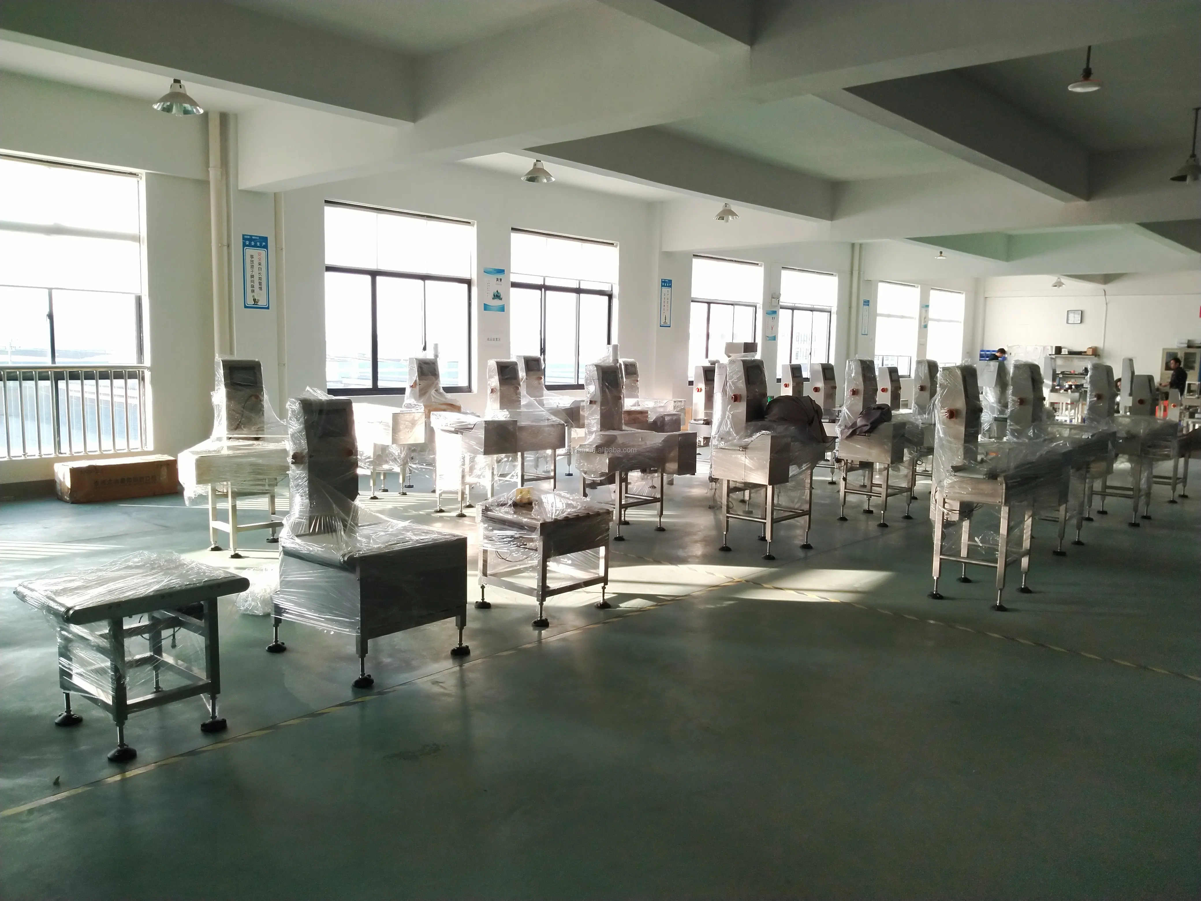 Automatic Check weigher/Weight Checker/Weight Checking Machine