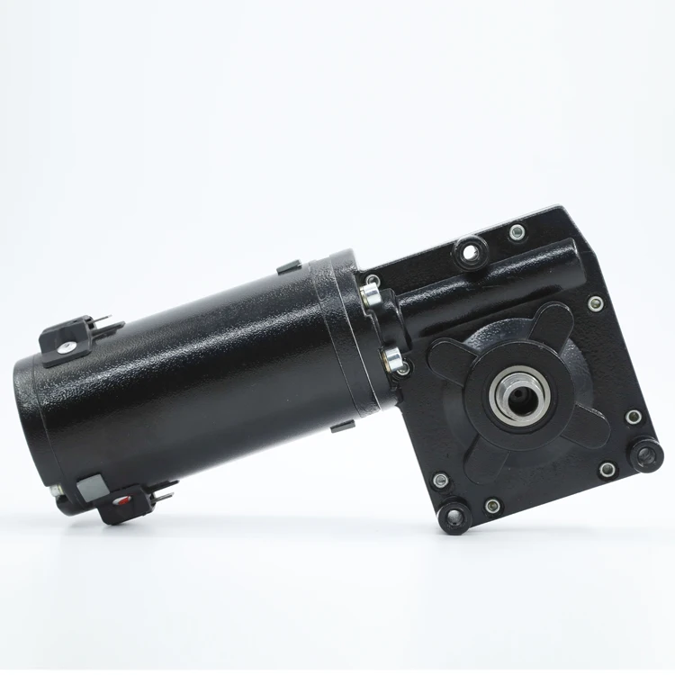 
73ZY12-102WJ 12V 24V 180W-320W Permanent Magnet worm gear Electric Golf Buggies Trolley DC Motor 