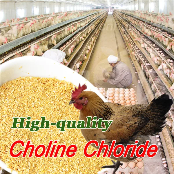 Best quality feed choline chloride supplement 60% per cob