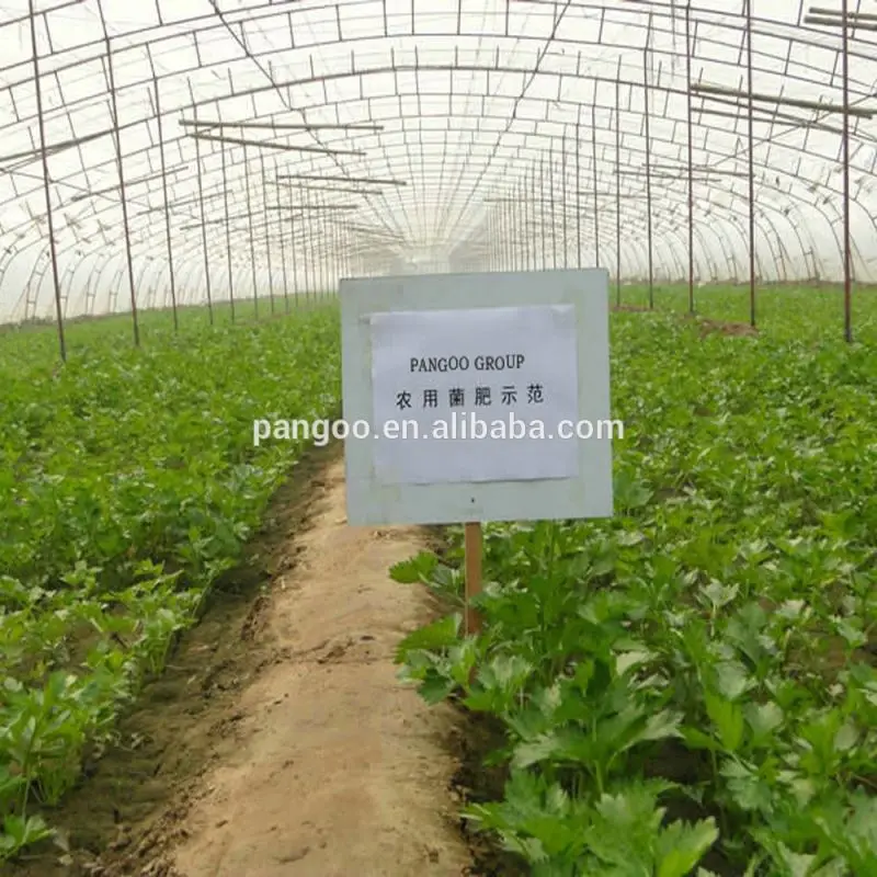 Bio fertilizer for agriculture rice, tomatoes, beans, potatoes with good effect PANGOO PLANT GROWER