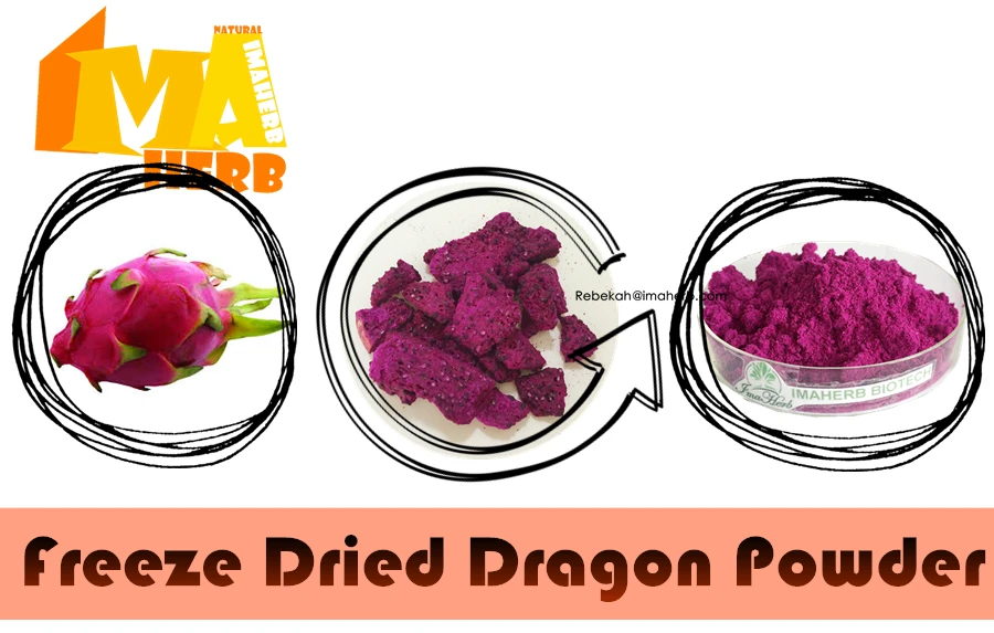 
Wholesale Mango Juice Powder Dried Mango Powder 