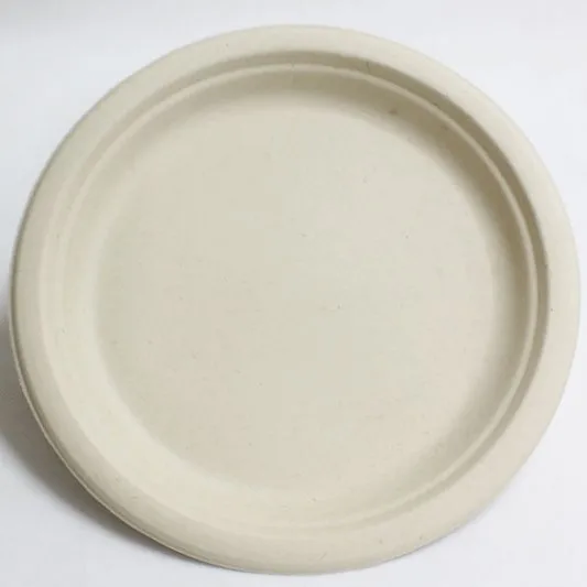 
BL-24 transport lunch packaging biodegradable take away bento boxes disposable airline fast food trays 