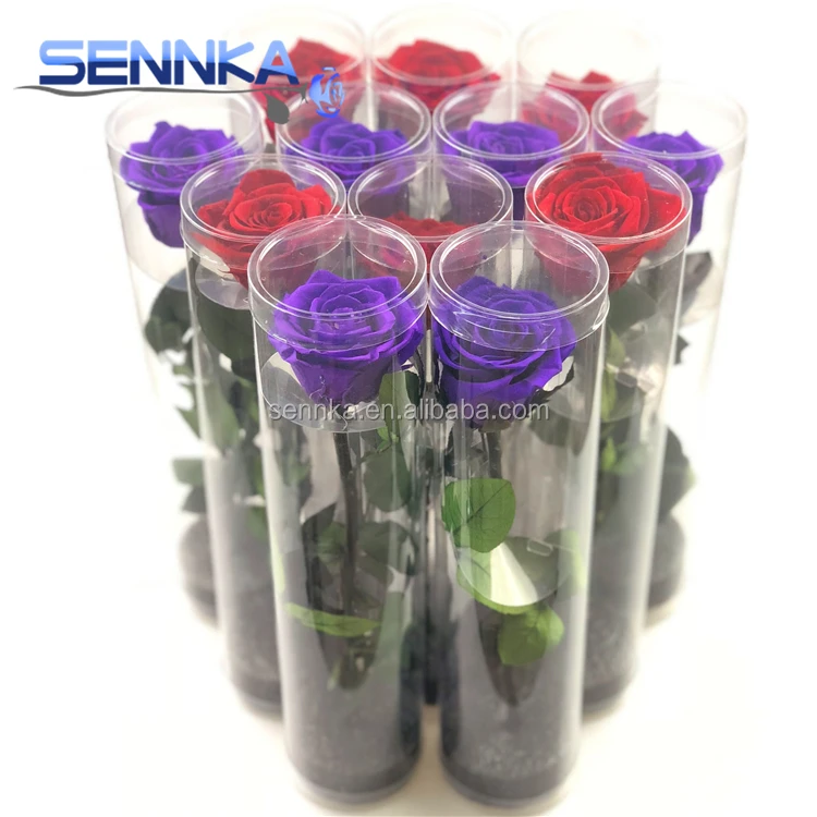 
Natural Real touch Preserved Rose Heart Shaped Rose Long Lasting Roses 