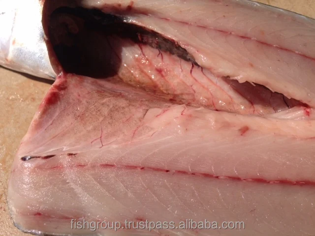  Замороженная морская скумбрия рыба 12 5 кг x 2