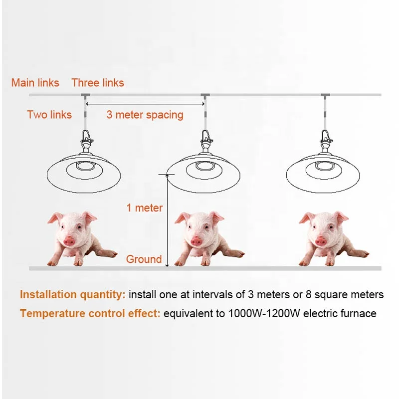 stainless steel lamparas de  biogas heat lamp biogas energy light for sale