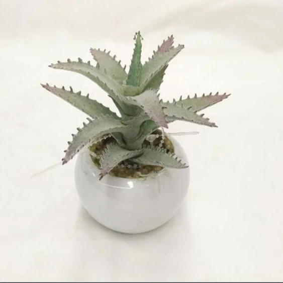 Искусственные растения-суккуленты, мини-цветок в форме Совы без горшка тилландсия, ликопий