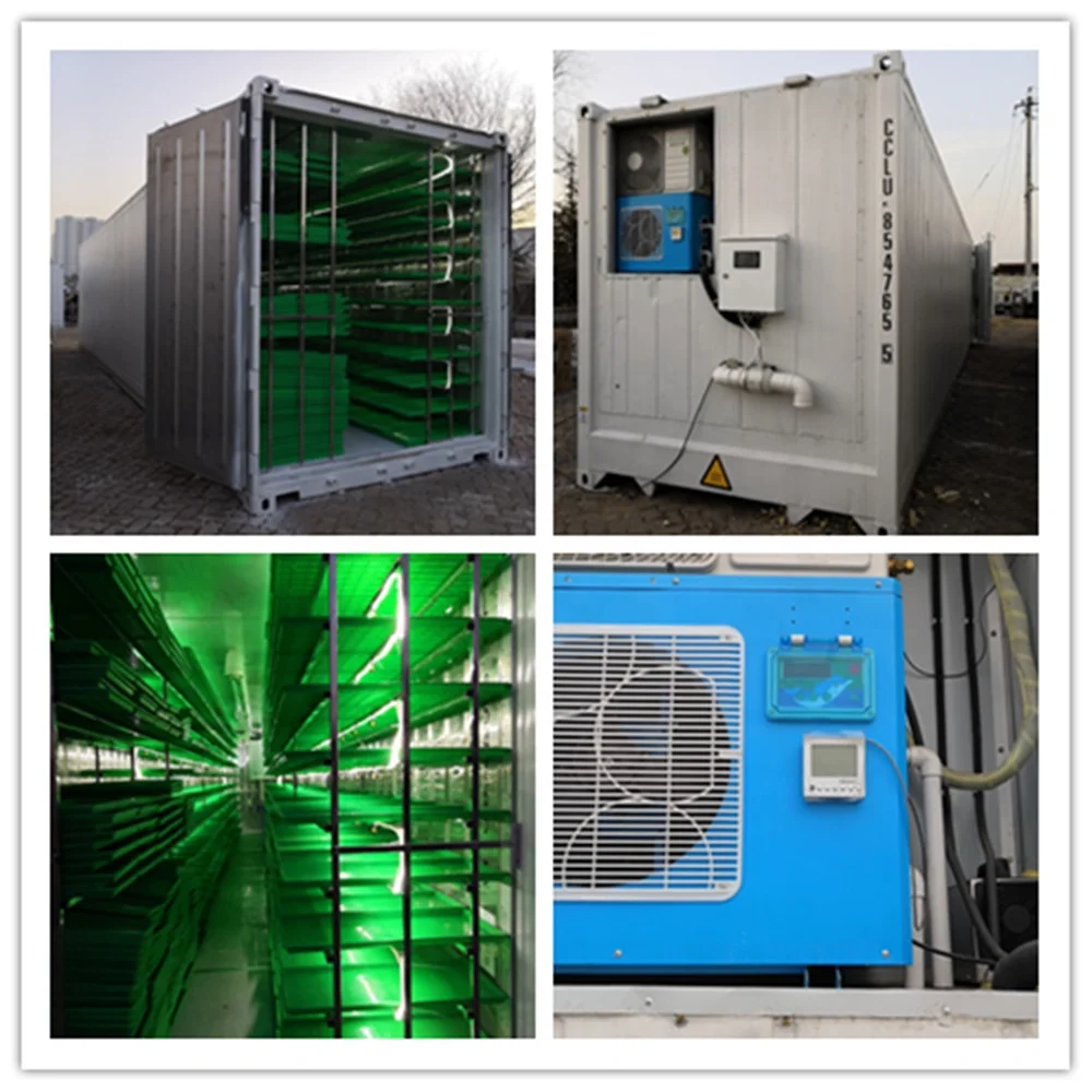 Container  Commercial Hydroponics Fodder System- Hydroponic Growing Systems