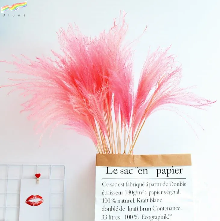 Сушеная пампасная трава тростник Натуральные сушеные цветы нефрагмиты декоративные перья тростник трава высокая трава