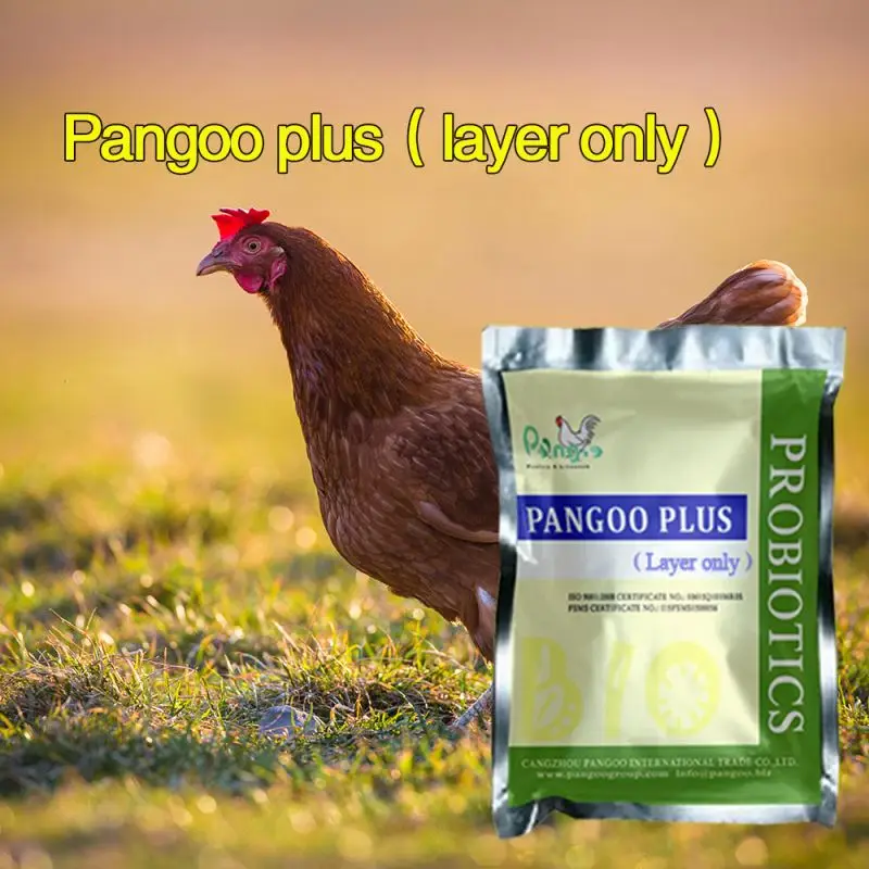 
Bio probiotics for laying hens 