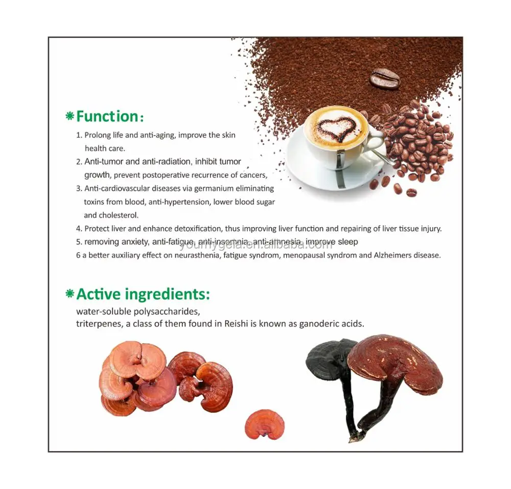 100%Natural Ganoderma Lucidum coffee for sale from China