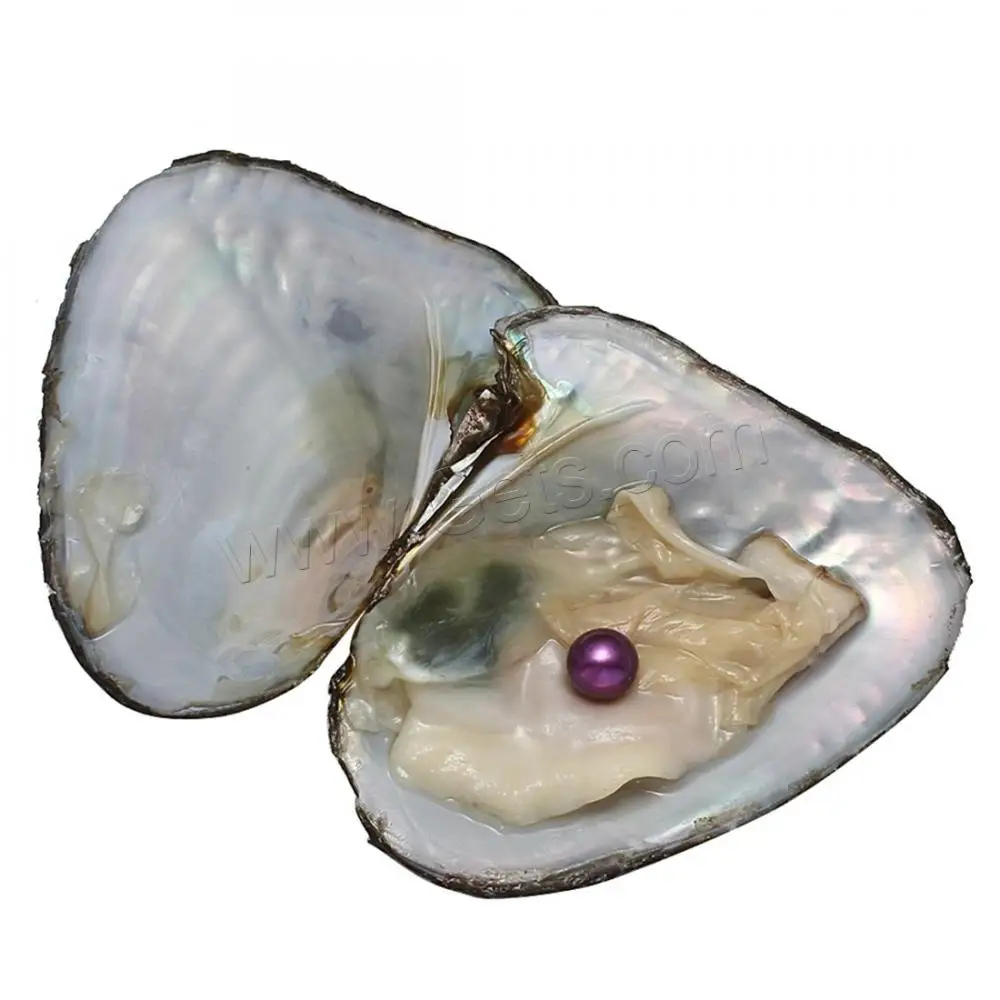 7-8mm wholesale the sea mussel is packed with round beads vacuum packed freshwater pearl oyster mussel
