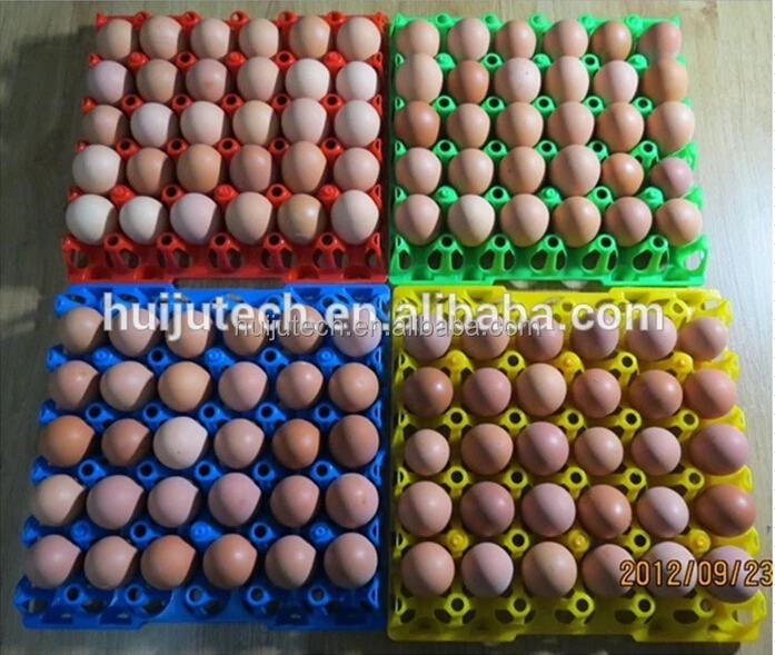 PE 100% plastic incubator egg tray plastic quail egg tray and poultry egg tray incubator for sale