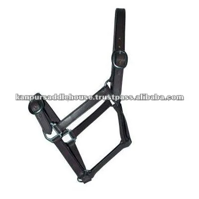 Модный головной убор лошади