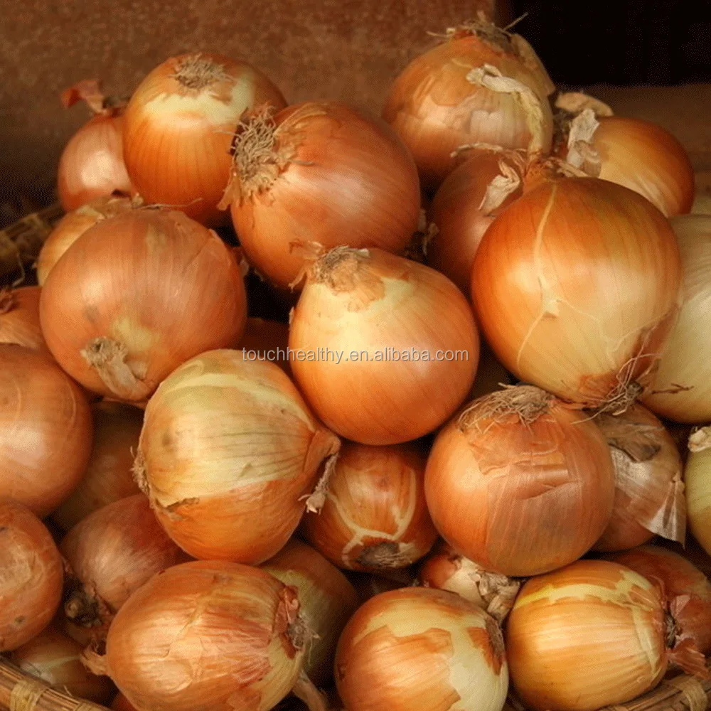 2021 год, Touchhealthy поставка, лучшие китайские семена красного лука для роста, OEM заказ, принимаем 100 грамм в упаковке
