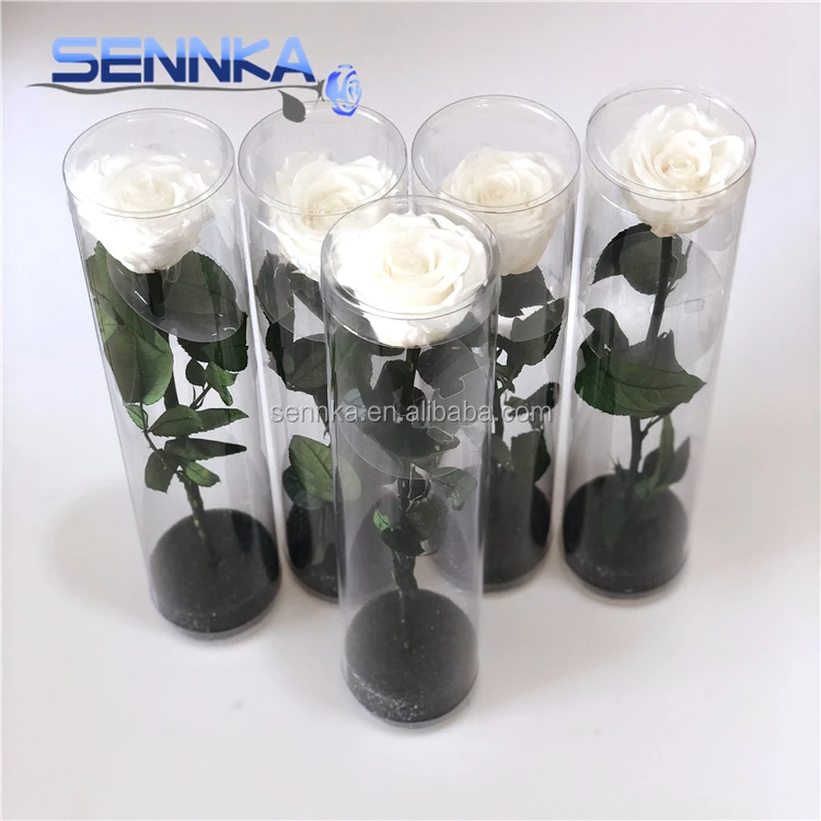 
Natural Real touch Preserved Rose Heart Shaped Rose Long Lasting Roses 