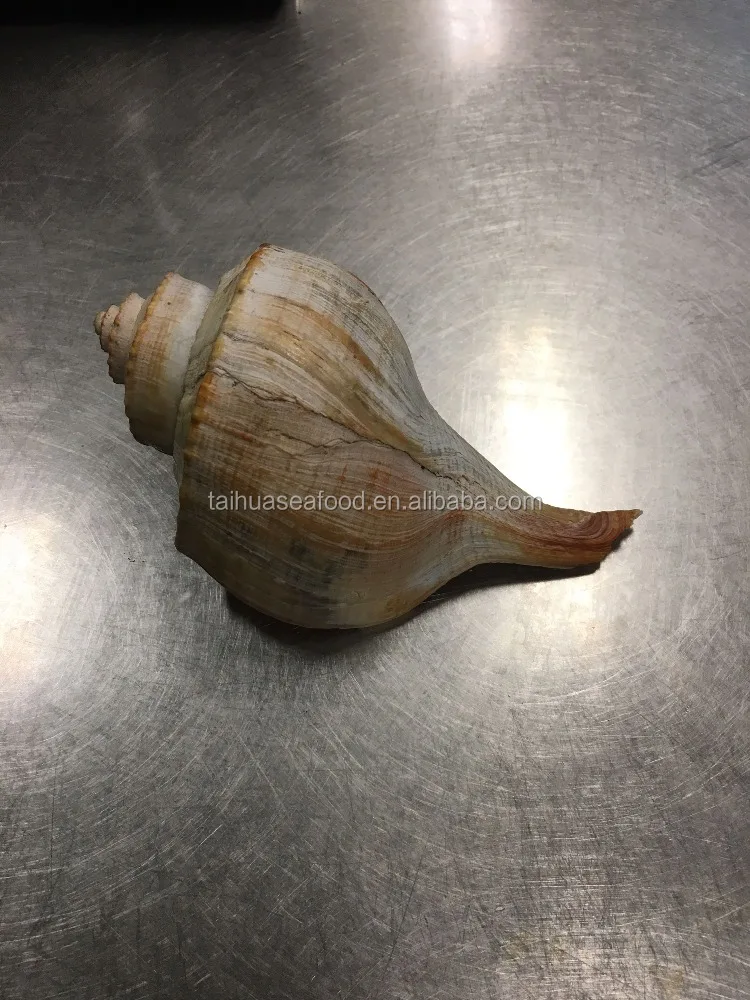 Замороженное приготовленное молочко мясо, новое китайское производство