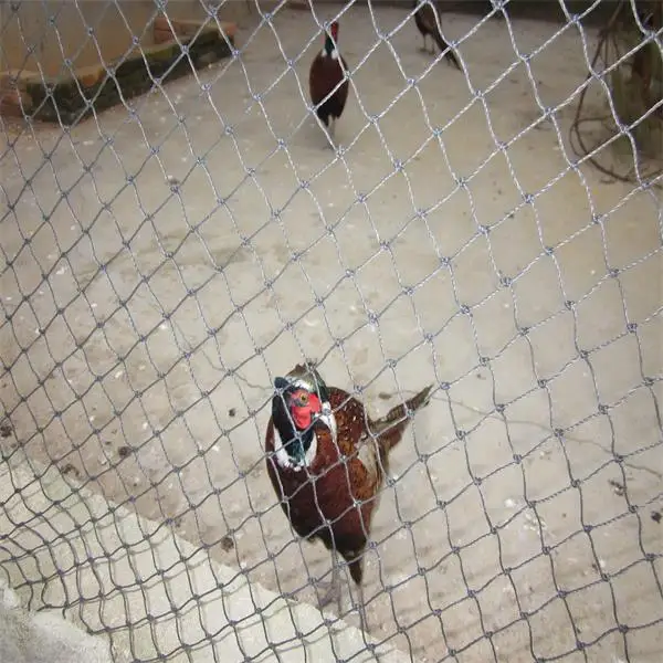
Poultry and small animal wire netting roll/bird cage chicken wire mesh/greenhouse net 