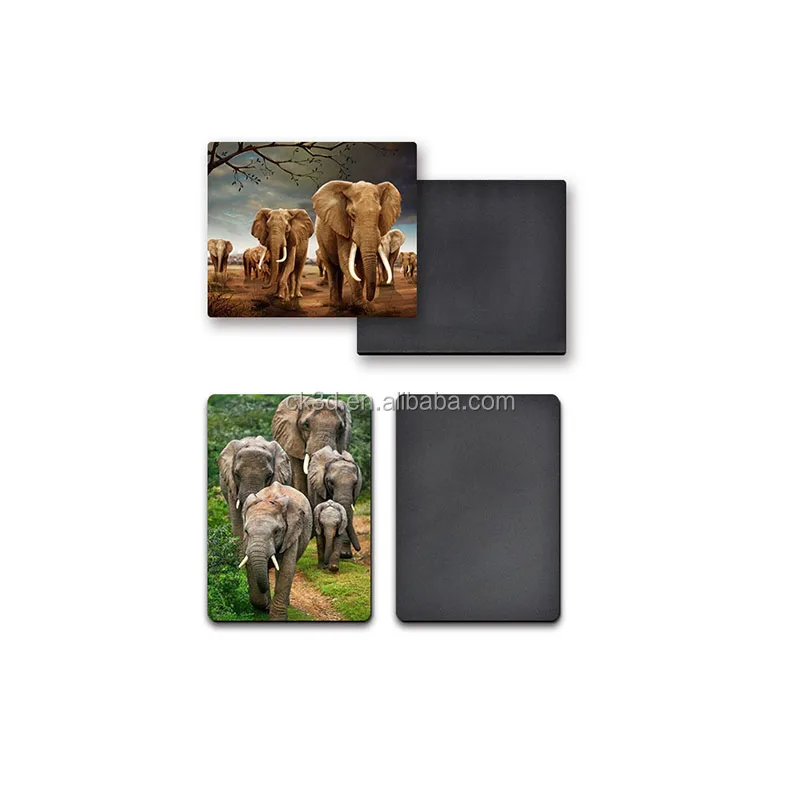 Personal photo frame fridge magnet, 3d lenticular logos china fridge magnet