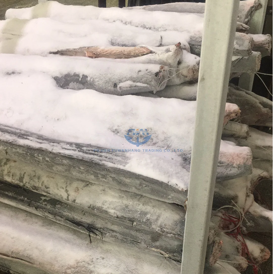 
Seafrozen sailfish exporter from China frozen marlin fish 