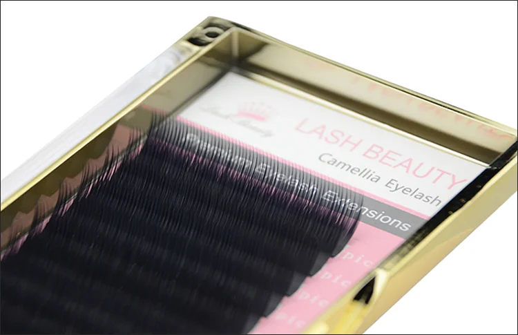 Popular 0.03 0.05 0.07 Camellia Lashes Mega Volume Lashes Extensions Private Label