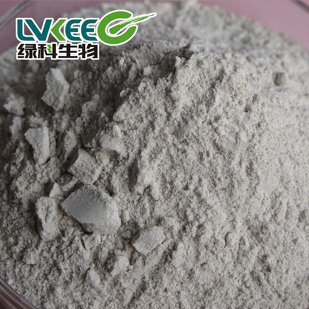China Top Supplier Bacillus Megaterium Probiotics For Agriculture Planting