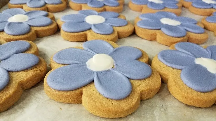 
High quality Christmas no artificial flavoring fortune cookies biscuits 