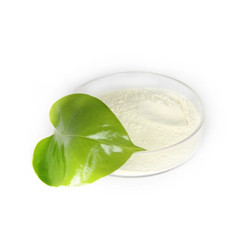 
foodingredients probiotics raw powder lactobacillus plantarum powder 