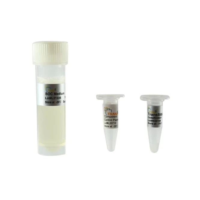 TransStbl3 Chemically Competent Cell