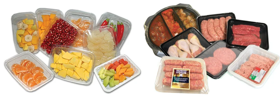 
DQ400T-E Sandwich Pasta Tray Sealer With Gas Flushing Gas Purging MAP Food Tray Sealing Machine 