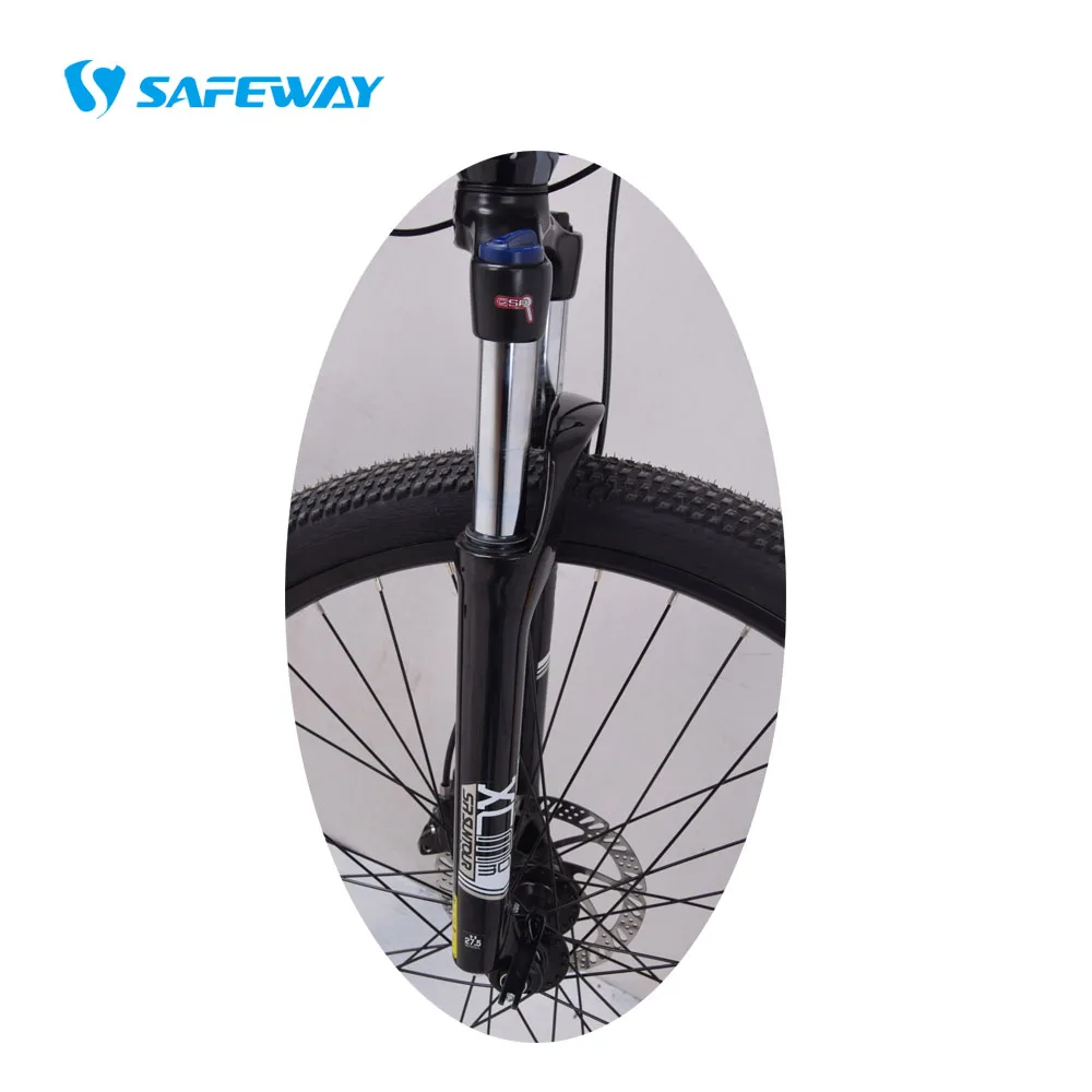 new model electric bike 1000w motor electric mountain bikes with 48V20AH electric bike High Powerful 48V Lithium Battery